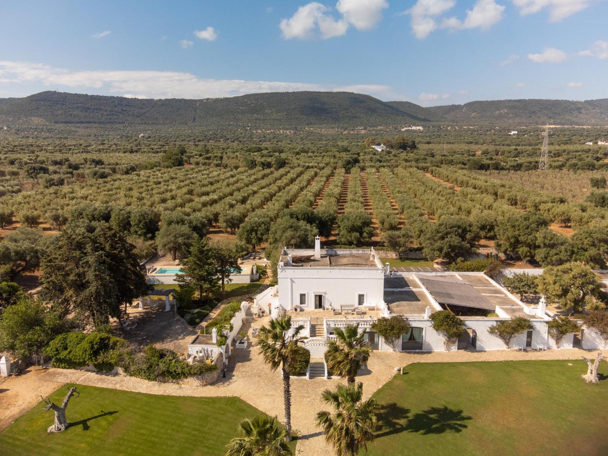 Masseria Eccellenza ペッツェ・ディ・グレーコ エクステリア 写真